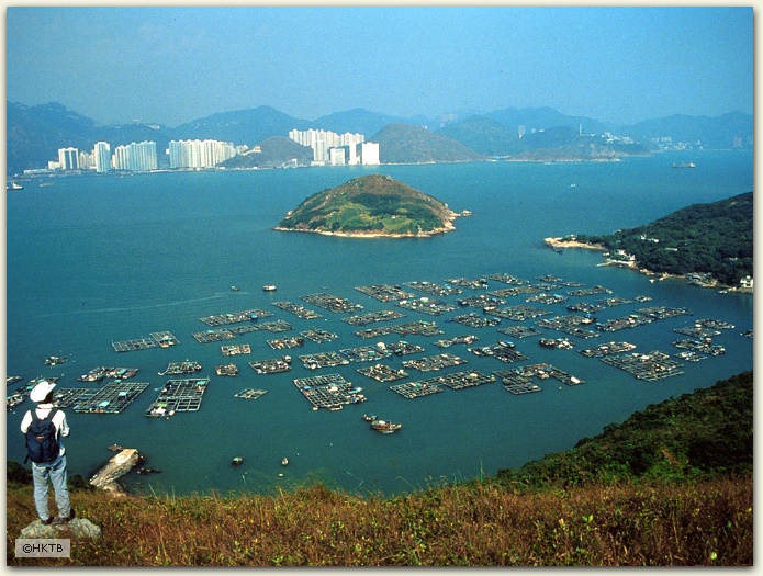 View from the Peak, Hong Kong
